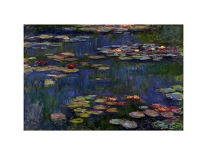 Water Lilies