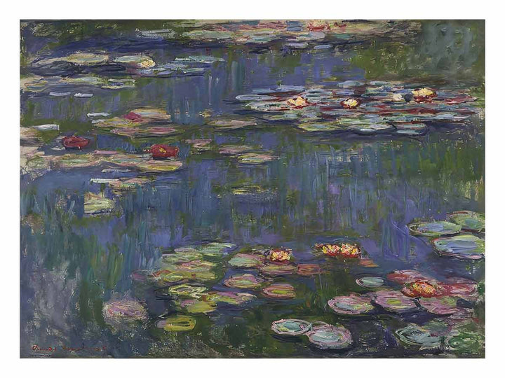 Water Lilies27
