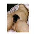 The origin of the world by Gustave Courbet