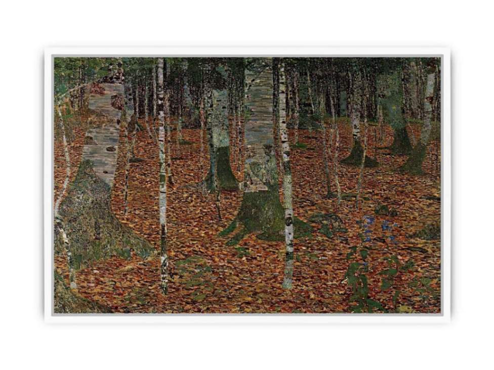 Birch Forest Framed Print