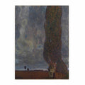 The Large Poplar II
