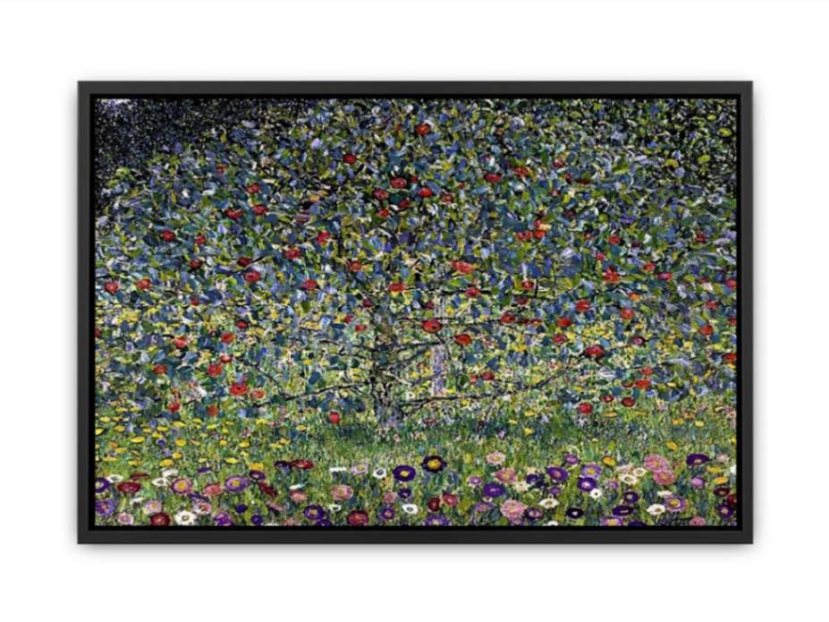 Apple Tree I Canvas Print