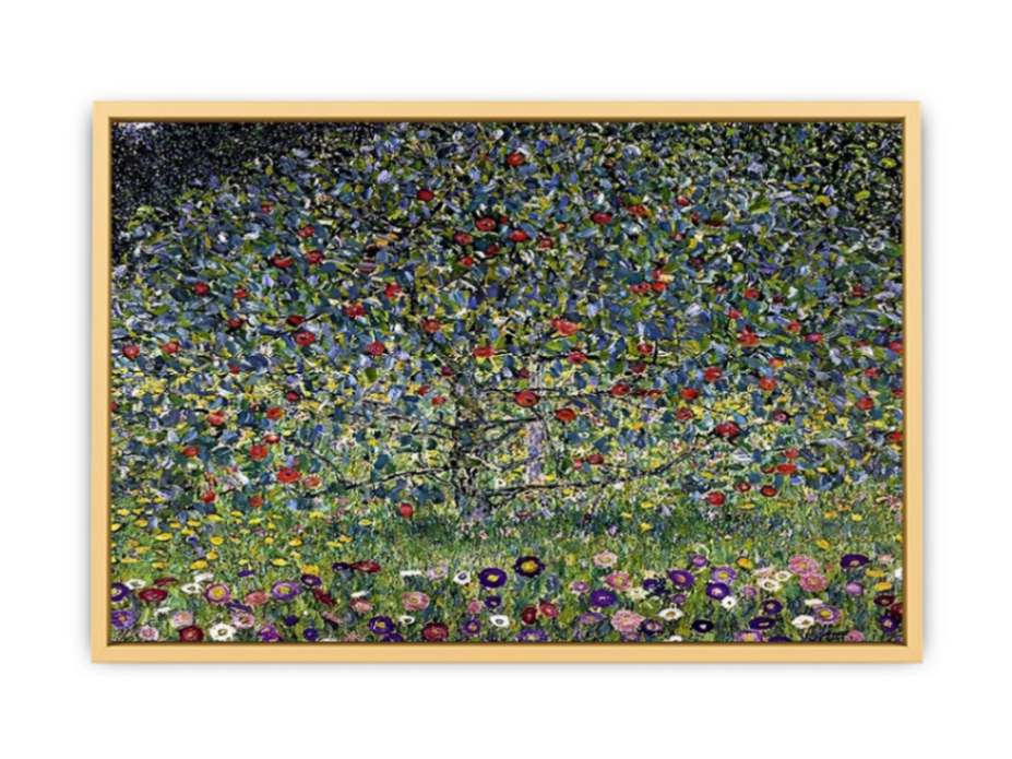 Apple Tree I Streched canvas
