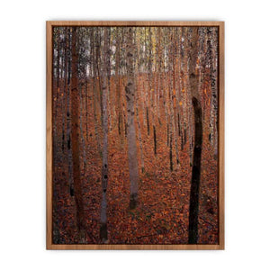 Beech Forest Buchenwald I  Poster