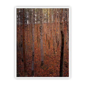 Beech Forest Buchenwald I Framed Print