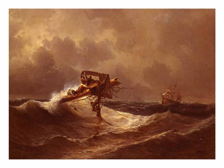 	
The Rescue