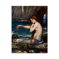 A Mermaid by John William Waterhouse by John William Waterhouse
