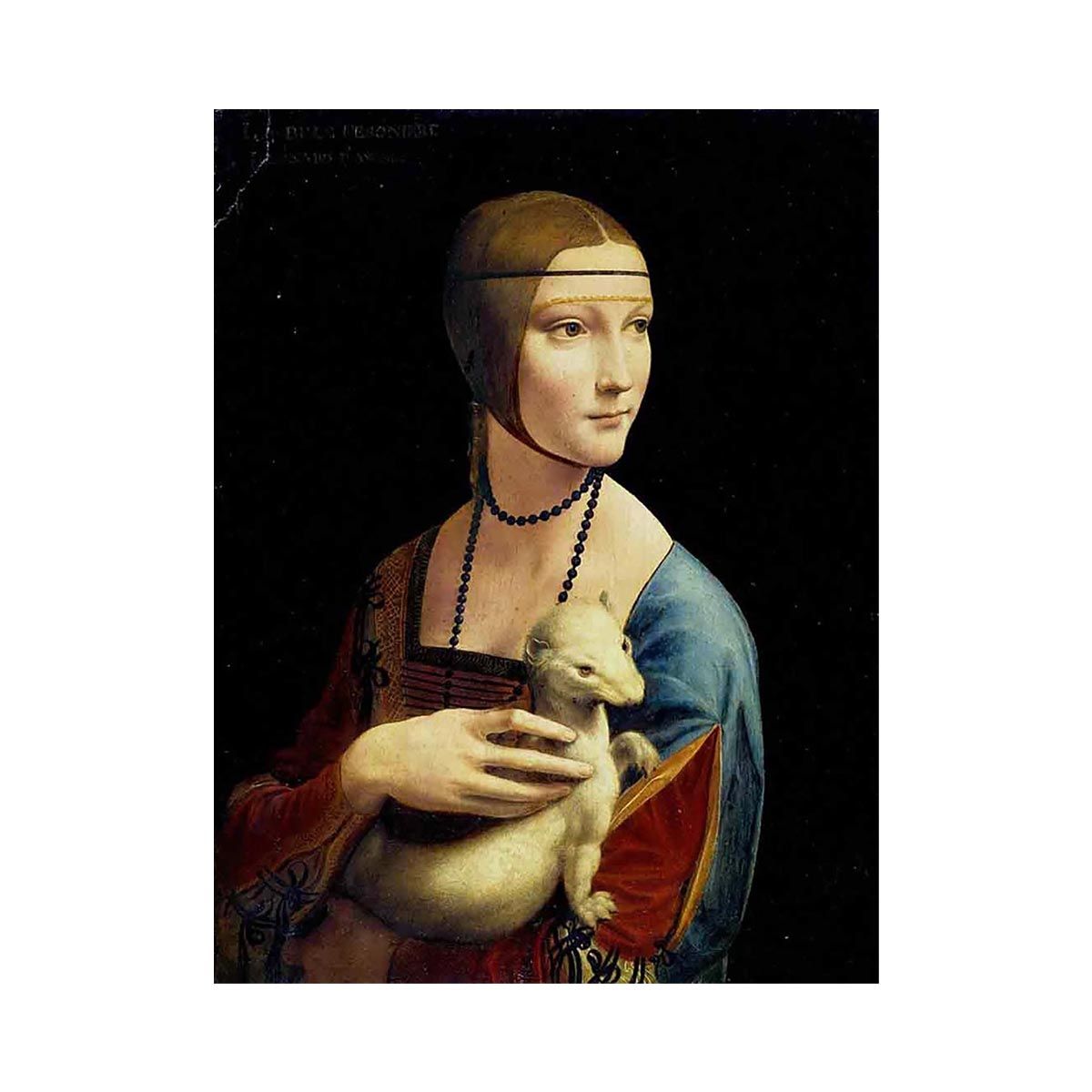 Lady with an Ermine ( Portrait of Cecilia Gallerani )  by Leonardo Da Vinci
