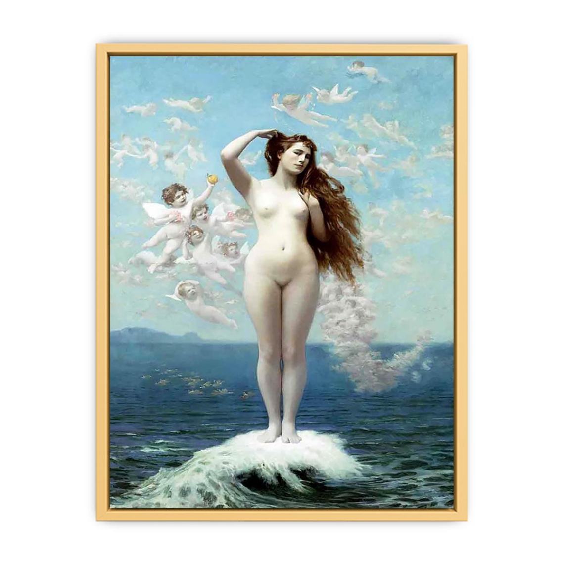Venus Rising Streched canvas