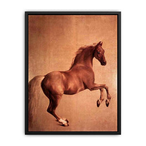 Whistlejacket 1761-62 Canvas Print