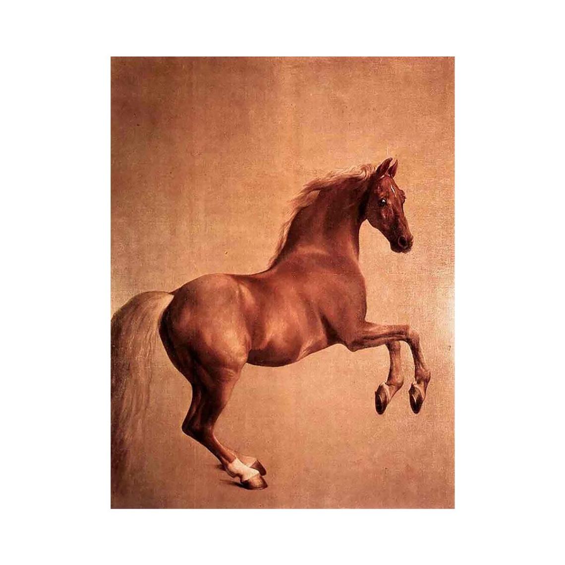 Whistlejacket 1761-62 by George Stubbs