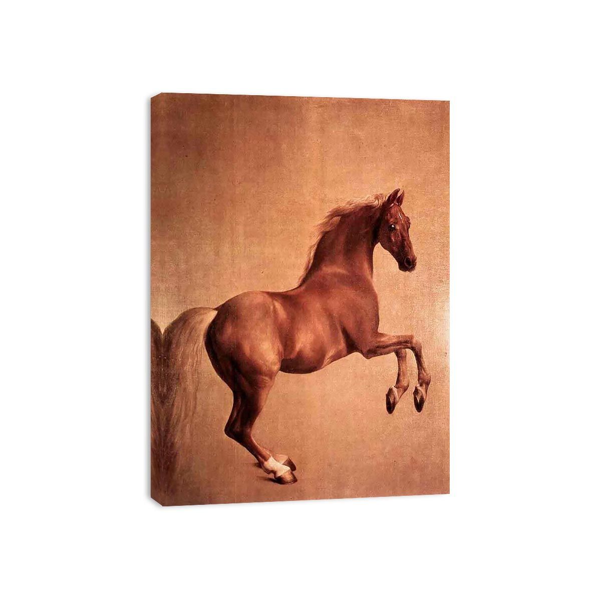 Whistlejacket 1761-62 by George Stubbs Painting 