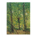 tree And Undergrowth  Art Print.