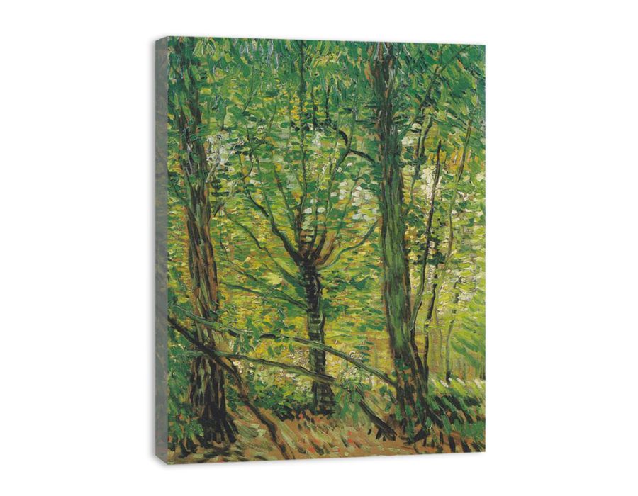 tree And Undergrowth  canvas Print