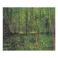tree And Undergrowth By Van Gogh Art Print.