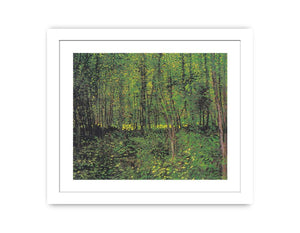 Canvas print