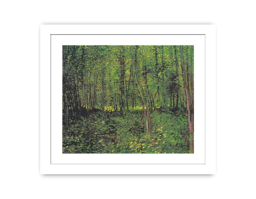 Canvas print