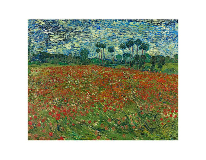 Poppy Field By Vincent Van Gogh Art Print.