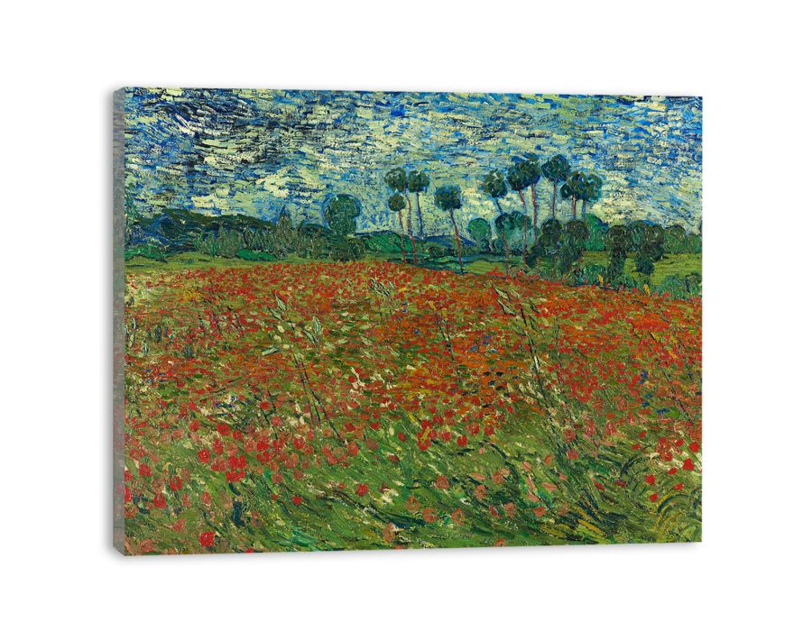 Poppy Field By Vincent Van Gogh canvas Print