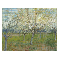 Pink & The White Orchard  Art Print.