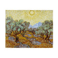 Olive Trees / Olive Trees with yellow sky and sun