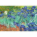 Irises By Van Gogh Painting