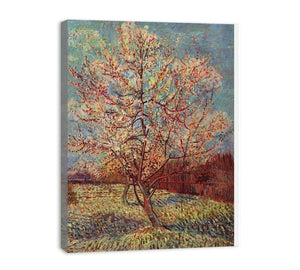 Peach Tree in Blossom / Flowering Peach Tree  canvas Print