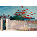 A Wall, Nassau  by Winslow Homer 