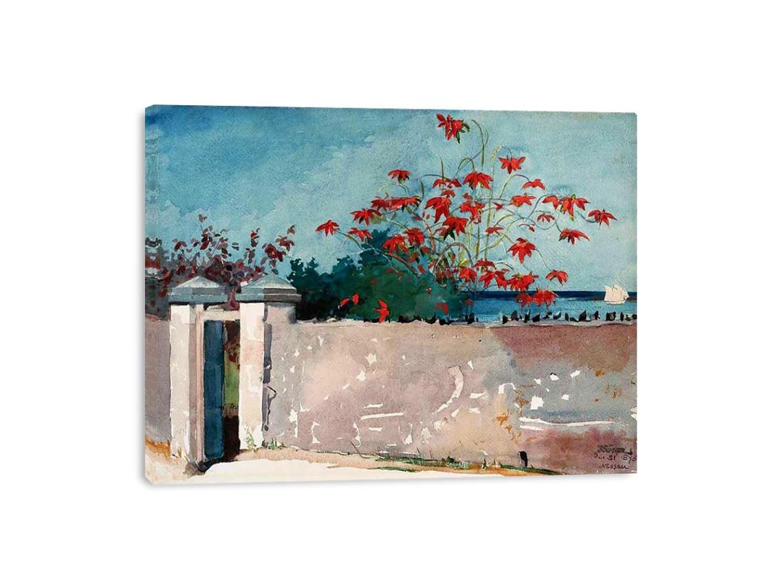 A Wall, Nassau  by Winslow Homer  Painting 