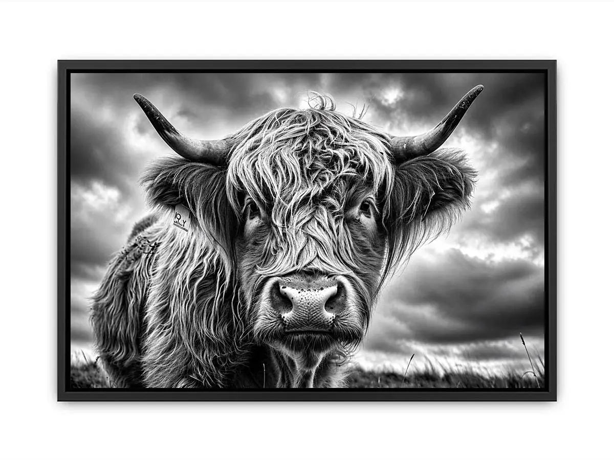 Black and white Highland cow portrait wall art with detailed fur texture and rustic farmhouse aesthetic