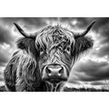 Black and white Highland cow portrait wall art with detailed fur texture and rustic farmhouse aesthetic