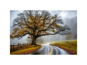 Foggy autumn countryside road with large tree and winding path rustic landscape wall art