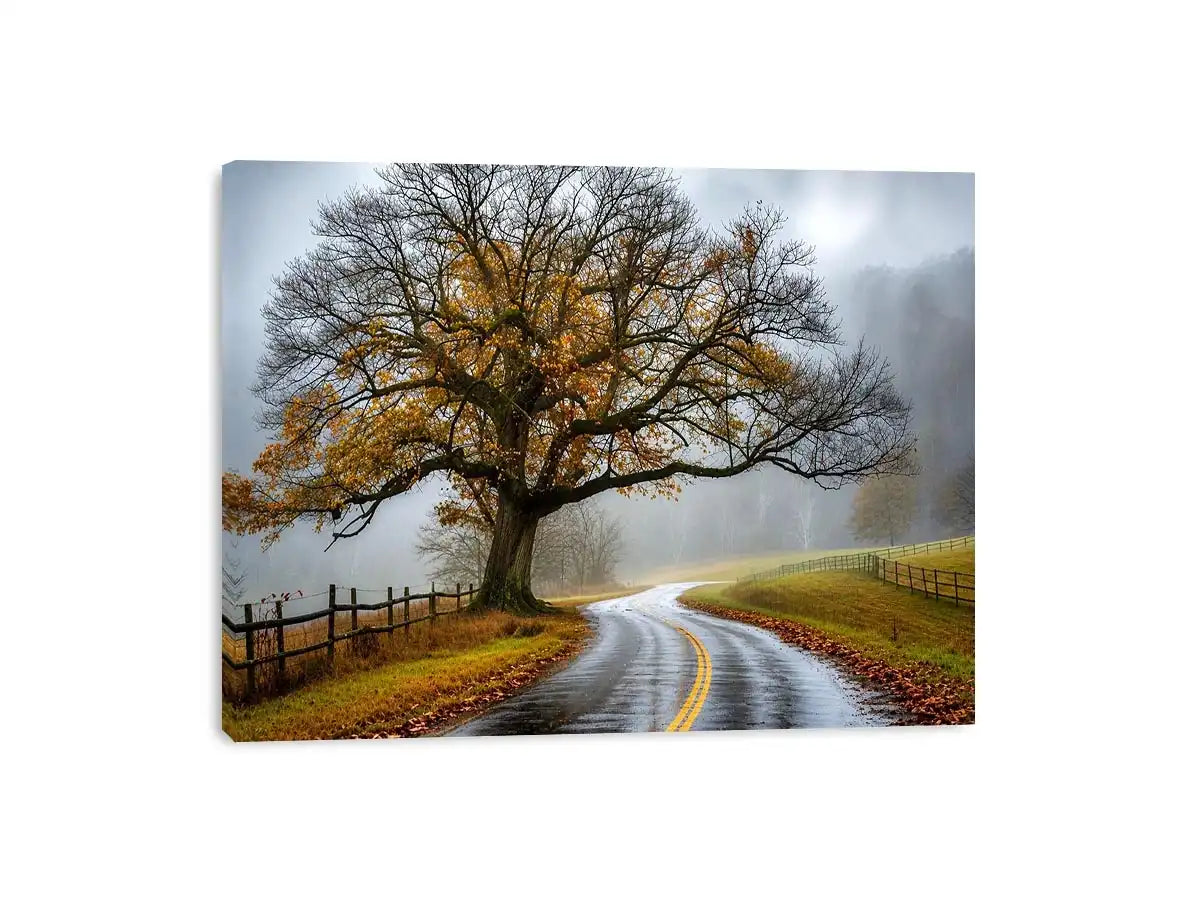 Foggy autumn countryside road with large tree and winding path rustic landscape wall art