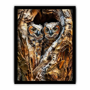 Two owls in tree hollow wildlife photography with soft natural tones rustic luxury wall art