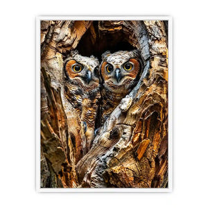 Two owls in tree hollow wildlife photography with soft natural tones rustic luxury wall art