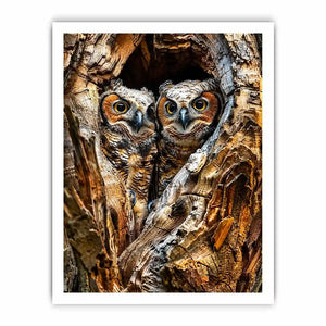 Two owls in tree hollow wildlife photography with soft natural tones rustic luxury wall art