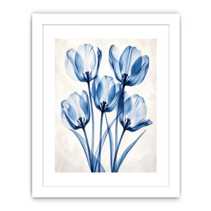 Minimal blue tulip floral wall art with translucent petals and modern botanical elegance for luxury interiors