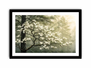 Misty forest dogwood blossom wall art with white flowers and serene green woodland atmosphere for luxury interiors