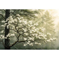 Misty forest dogwood blossom wall art with white flowers and serene green woodland atmosphere for luxury interiors