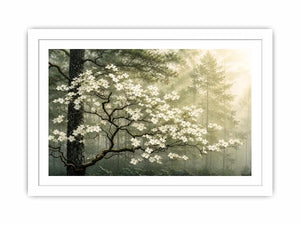 Misty forest dogwood blossom wall art with white flowers and serene green woodland atmosphere for luxury interiors