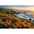 Scenic coastal wildflower wall art with orange blooms, ocean cliffs, and peaceful panoramic seaside landscape