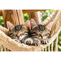 Bright cozy sleeping kitten wall art featuring two tabby cats resting in a woven hammock with soft natural daylight and neutral organic tones.