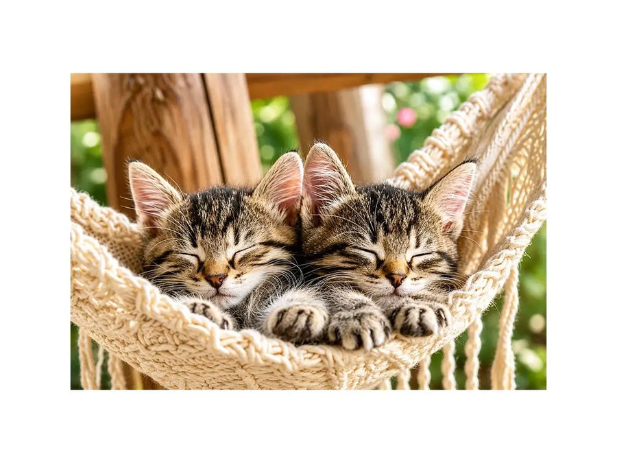 Bright cozy sleeping kitten wall art featuring two tabby cats resting in a woven hammock with soft natural daylight and neutral organic tones.