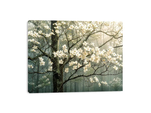 Soft magnolia blossom wall art featuring delicate white flowers on misty woodland branches with calming neutral tones and elegant botanical styling.