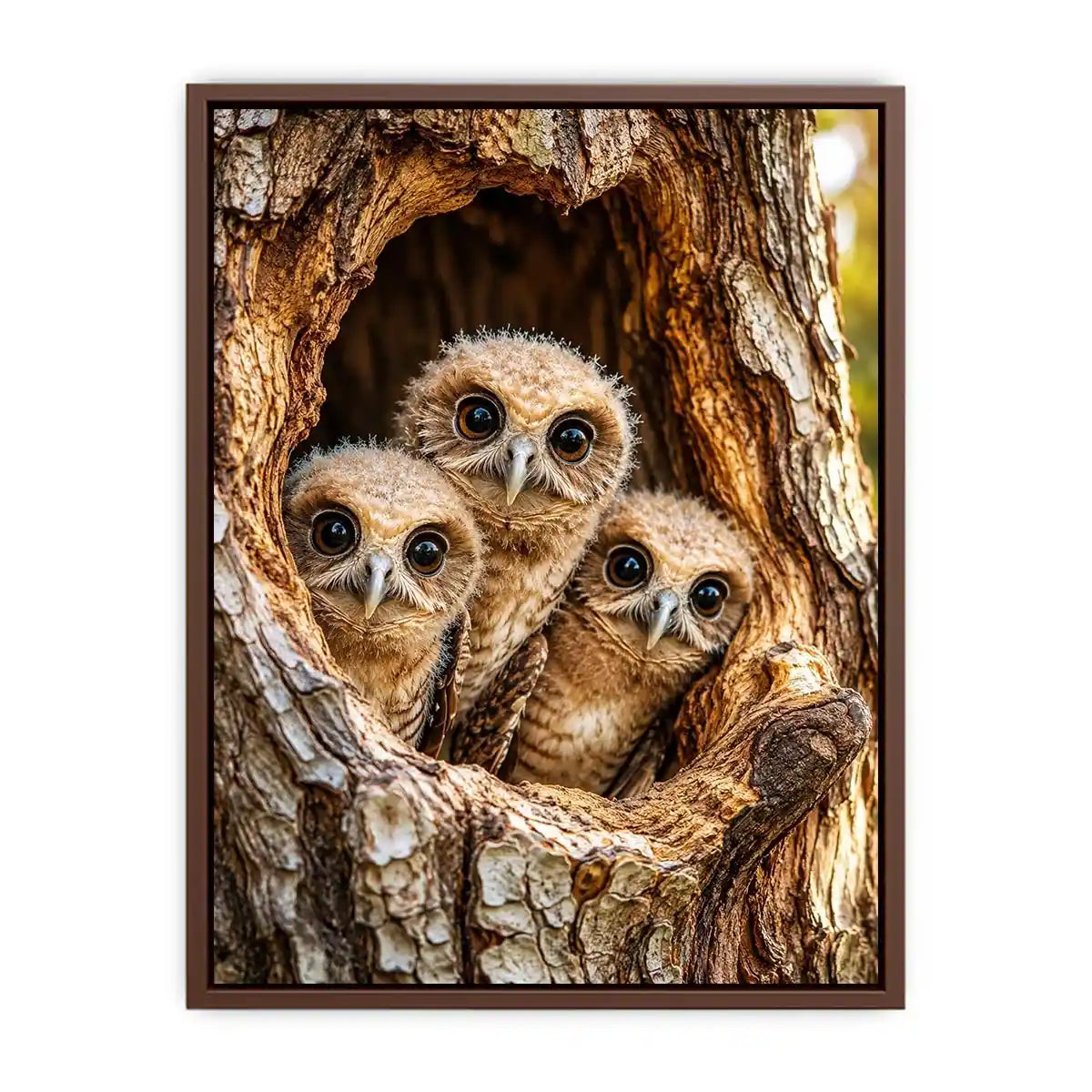 Cute baby owls inside rustic tree hollow woodland animal nature wall art canvas
