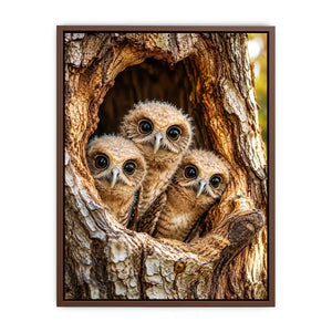 Cute baby owls inside rustic tree hollow woodland animal nature wall art canvas