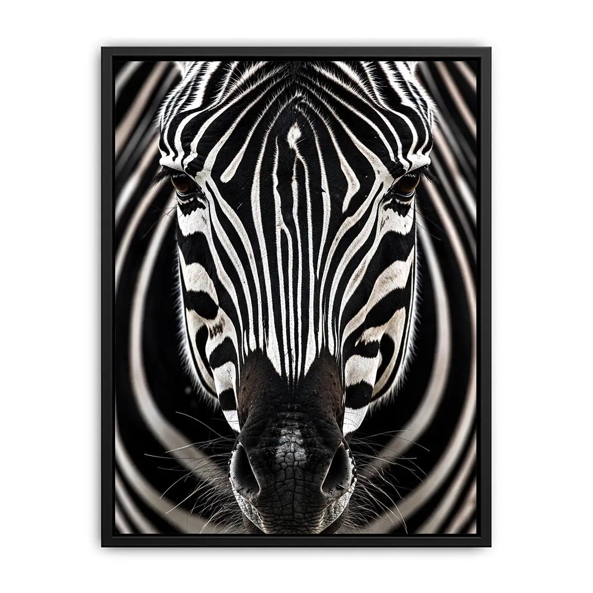 Black and white zebra portrait wall art with bold striped wildlife photography and modern safari aesthetic