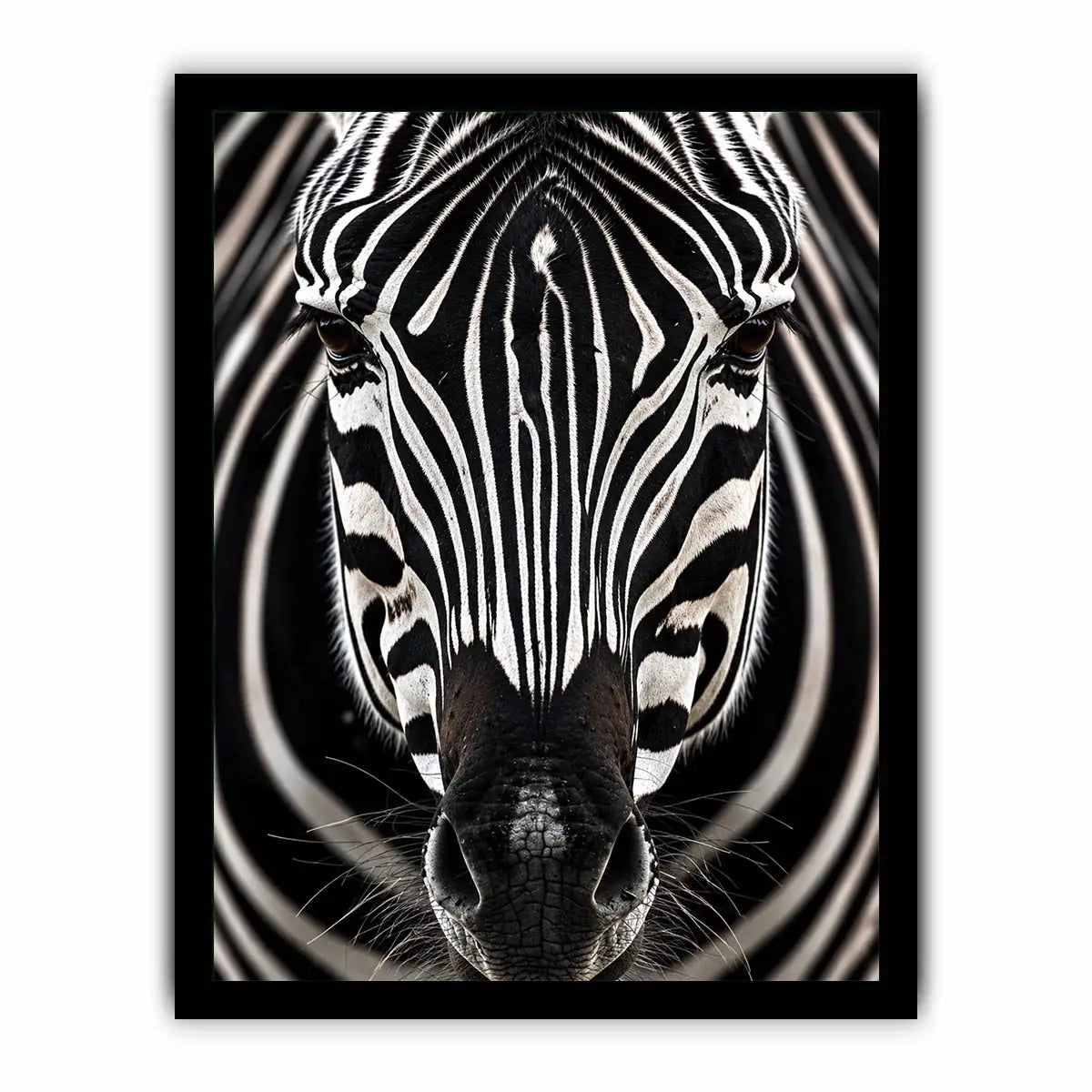 Black and white zebra portrait wall art with bold striped wildlife photography and modern safari aesthetic