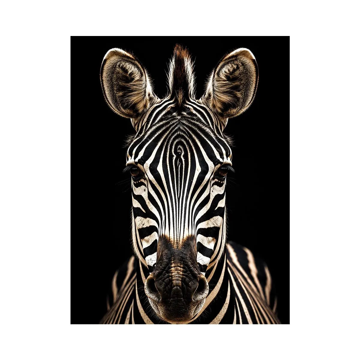 Black and white zebra portrait wall art with dramatic wildlife photography and minimalist safari aesthetic for modern decor