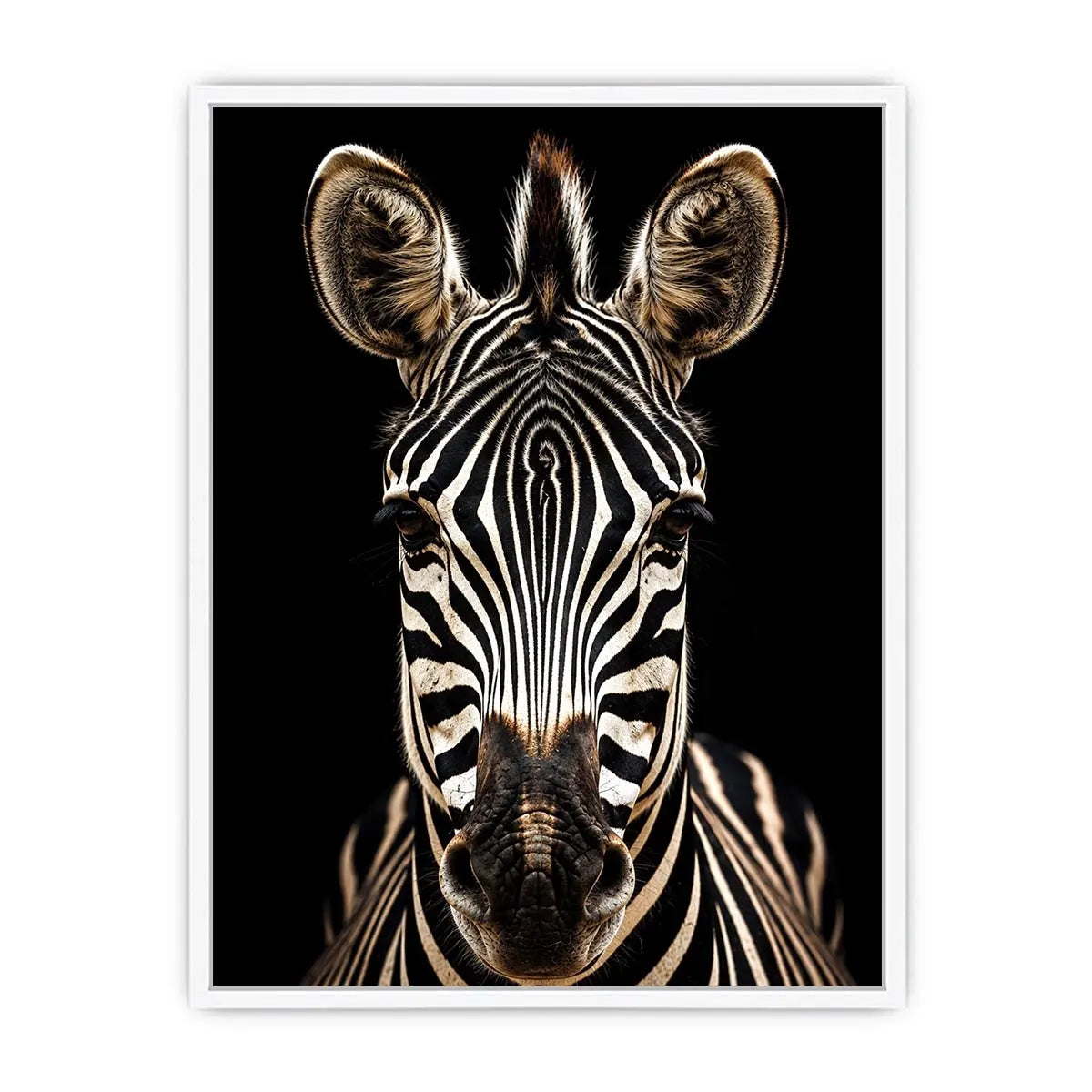 Black and white zebra portrait wall art with dramatic wildlife photography and minimalist safari aesthetic for modern decor